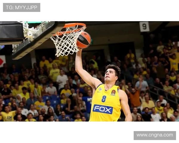 以阿夫迪亚谈篮球理念：热爱对抗但更追求智慧取胜团队与效率并重